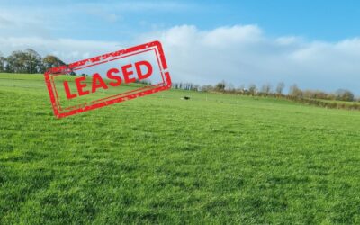 Now Leased: c.95 Acres Land for Lease for 7 Years with Entitlements in Ballycrissane, Ballinasloe