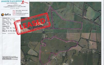Now Leased: C.45 Acres of Agricultural Land in Boula, Portumna for Lease