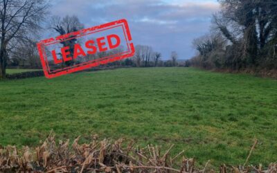 Now Leased: C.29.48 Acres of Land in Cloonmoylan, Ballyshrule for Lease for 5 years.