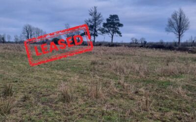 Now Leased: c.42 Acres of Land for Lease at Powerscross Portumna