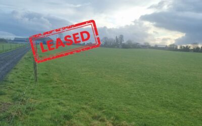 Now Leased: c.10 Acres in Portumna for Lease for 5 Years.
