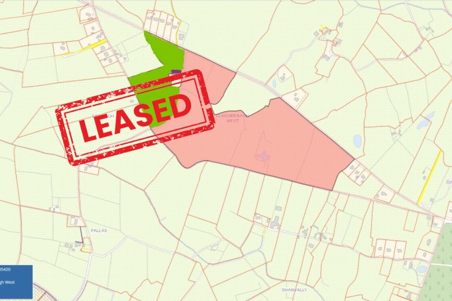 c.57 acres for lease Portumna