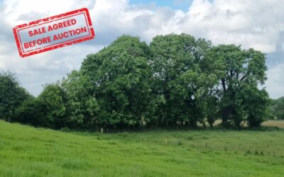 For Sale c.26.5 Acres of Good Agricultural Land in Rooskey, Bealnamulla, Athlone, Co. Roscommon