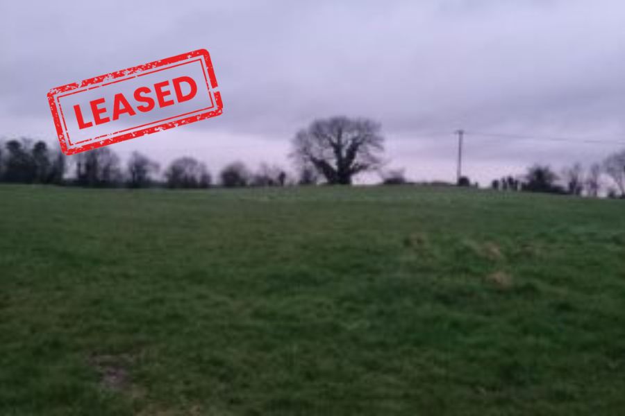c.37 Acres of Good Agricultural Land for Lease Killimor Village