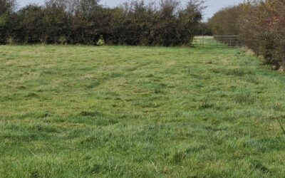 FOR SALE C.67 Acres RESIDENTIAL FARM (C.27.11 HA) LENAFIN, AHASCRAGH, BALLINASLOE, CO. GALWAY     