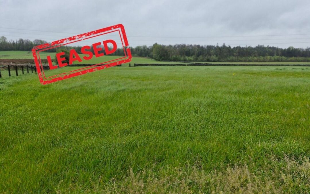 LEASED – c.25 acres of agricultural land at Lisnadrisha Kiltulla Athenry Co Galway