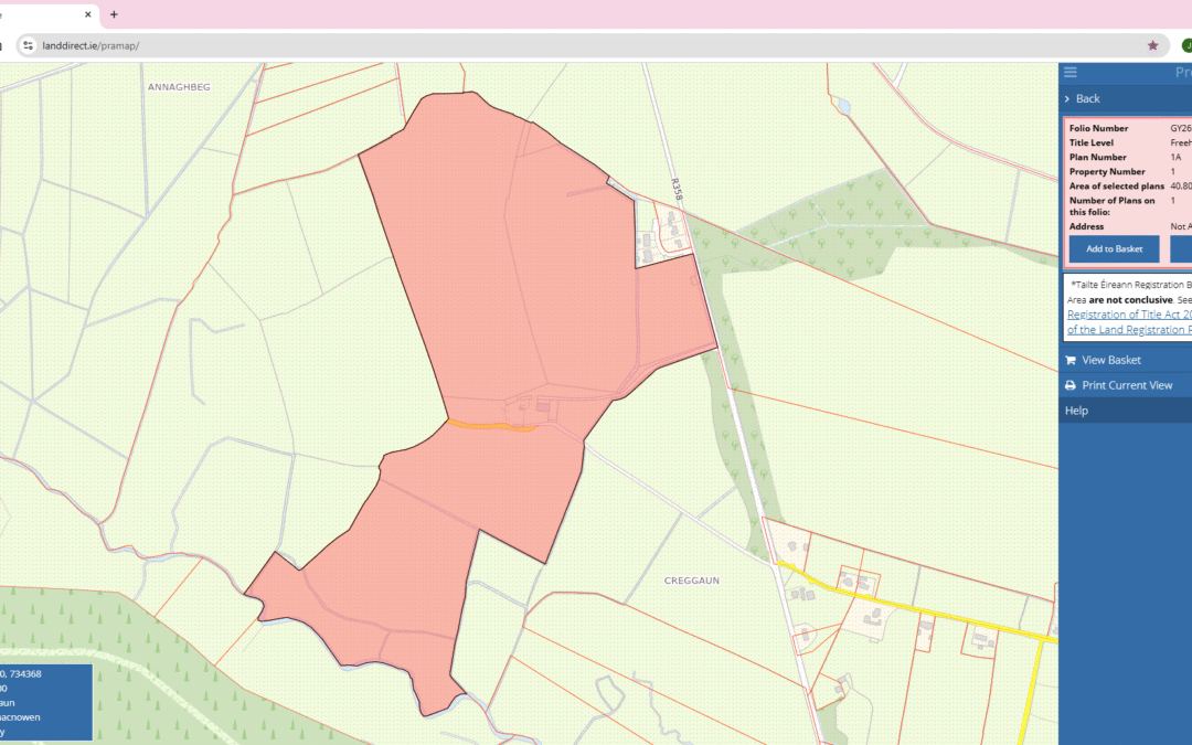 LEASED LEASED  — Land to Lease for 1 Year c.100.80 acres of Agricultural Land at Creggaun Ballinasloe Co. Galway