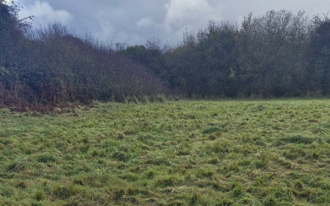 SALE AGREED For Sale by Private Treaty c.13.94 acres at Derryfrench, Tynagh, Loughrea, Co. Galway on Folio Number GY130300F
