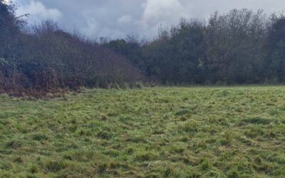 SALE AGREED For Sale by Private Treaty c.13.94 acres at Derryfrench, Tynagh, Loughrea, Co. Galway on Folio Number GY130300F