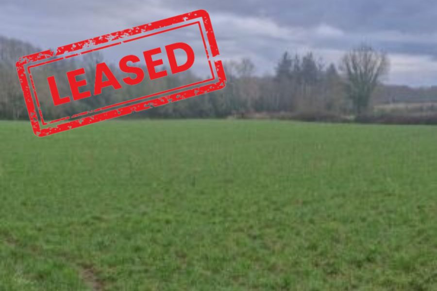 LEASED   Land to Lease for 5 Years c. 9.74 acres of Agricultural Land at Reaghan Tynagh Loughrea Co. Galway