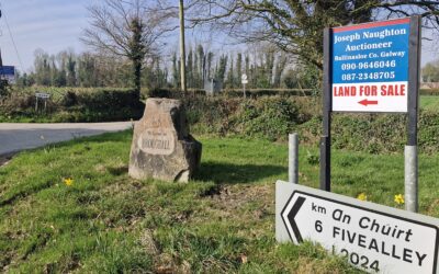 SALE AGREED!!   SALE AGREED!!  SALE AGREED!!  SALE AGREED!!        Land for Sale – c.15.05ha (c.37.18acres) of land for sale at Drinagh, Broughal, Kilcormac, Co. Offaly.