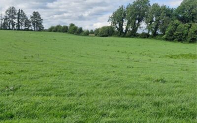 SALE AGREED! SALE AGREED! SALE AGREED! SALE AGREED!    Detached Two-Bedroom House on c. 34.30 Acres Pollatlugga, Cappataggle, Ballinasloe, Co. Galway H53 KX01