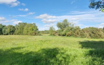 SALE AGREED!  SALE AGREED!  SALE AGREED!  SALE AGREED!     Detached Two-Bedroom House on c. 28.44 Acres Ballyoughter, Rathcabbin, Co. Tipperary, R42 KN63