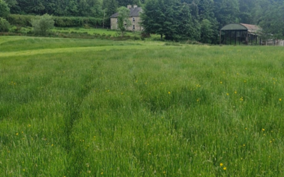 3 Bedroom Farmhouse and c. 48 acres of Land part of Folio. CE12448 at Leaghort, Caher, Co. Clare V94F8EX