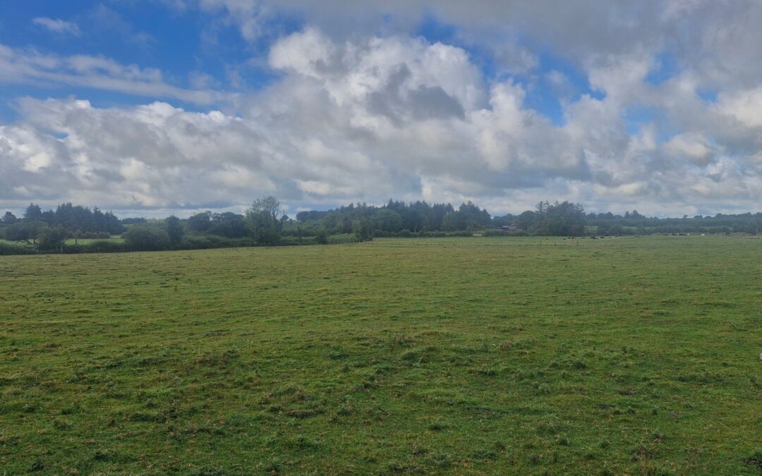 c. 33 Acres Agricultural Land with Derelict Dwelling – Cloonkeen East, Killoran, Ballinasloe, Co. Galway