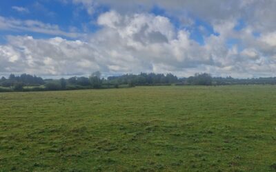 c. 33 Acres Agricultural Land with Derelict Dwelling – Cloonkeen East, Killoran, Ballinasloe, Co. Galway
