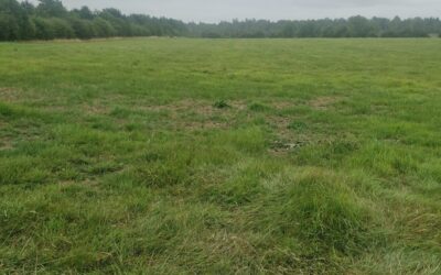 c. 19.59 Acres of Good Agricultural Land at Kinnegad, Co. Westmeath