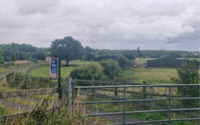 c. 19.59 Acres of Good Agricultural Land at Kinnegad, Co. Westmeath