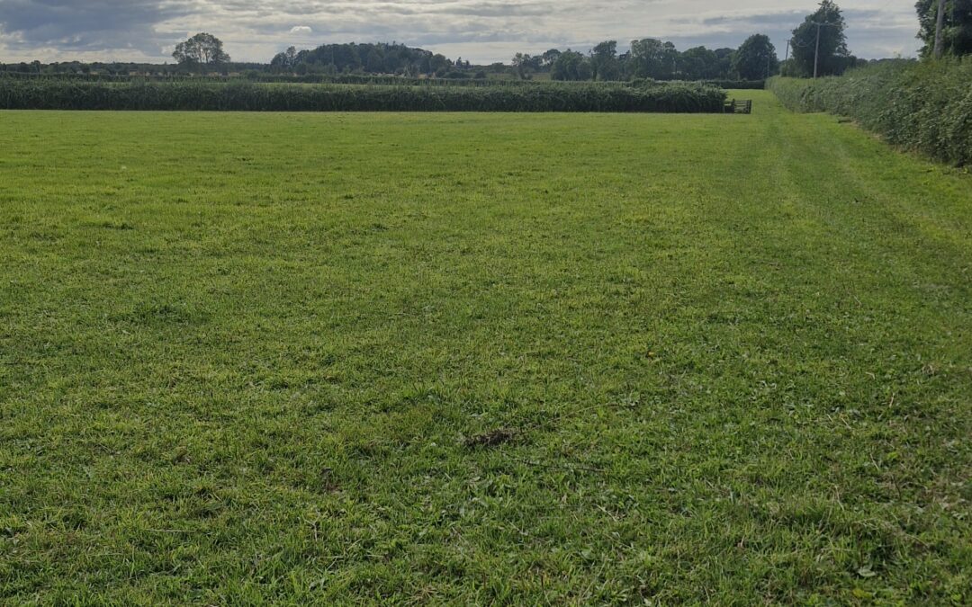 LAND FOR SALE – COOLCARTA WEST EYRECOURT CO GALWAY H53 NT28