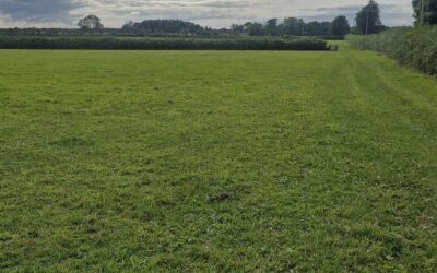 LAND FOR SALE – COOLCARTA WEST EYRECOURT CO GALWAY H53 NT28