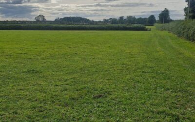 Coolcarta West, Eyrecourt, Ballinasloe, Laurencetown, Co. Galway, H53NT28